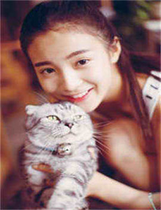 东归英雄传电影下载,天舞纪全集免费观看