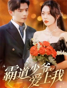 非常布雷迪的圣诞节