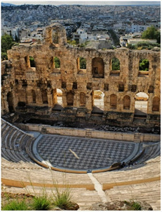 与郑淳元一起七天的奇迹