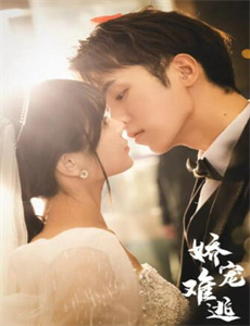 如果历史是一群喵 第二季